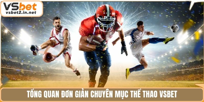 Tổng quan đơn giản chuyên mục thể thao vsbet
